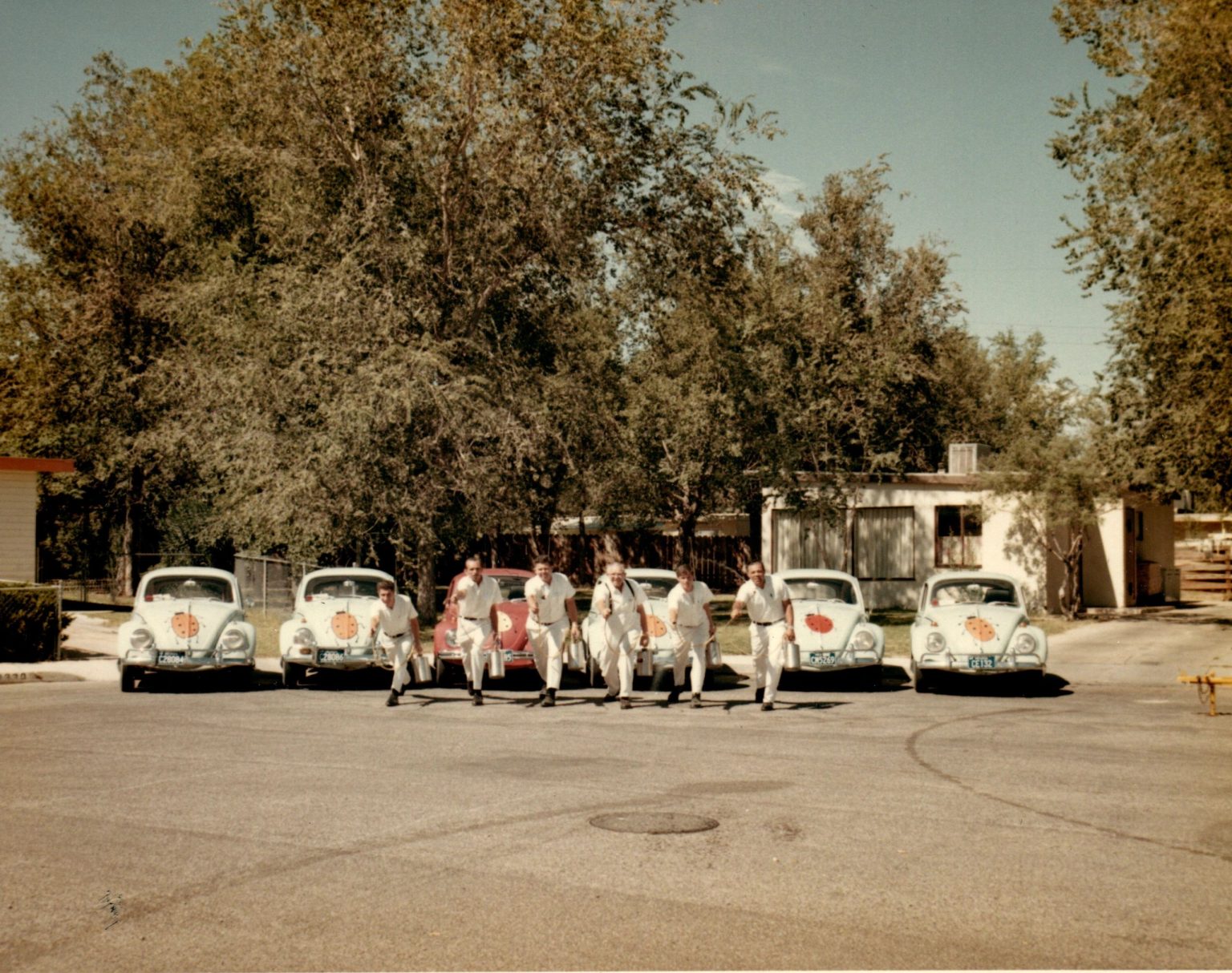 Vintage photo of Lady Bug Pest Control technicians with their 1967 service vehicles.